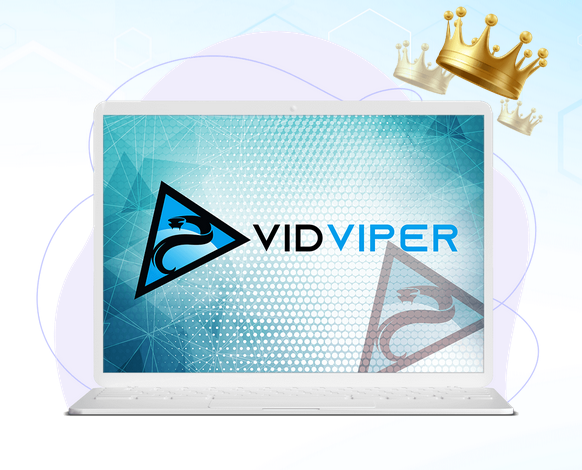 VidViper Coupon Code screenshot