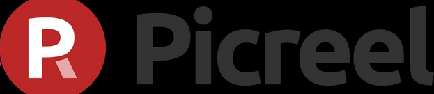 PicReel Coupon Code screenshot